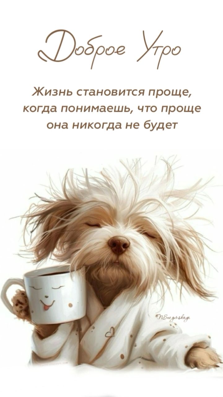 доброе утро доброе утро