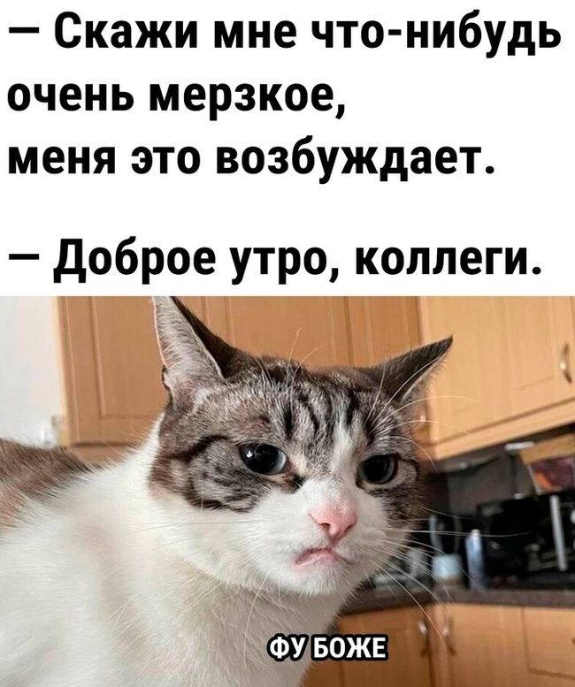 Юмор про работу, мемы Юмор про работу, мемы
