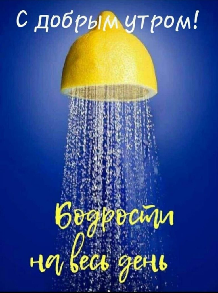 Пробудите свой день: 10 невероятных картинок и шуток, которые сделают ваше утро волшебным! Пробудите свой день: 10 невероятных картинок и шуток, которые сделают ваше утро волшебным!