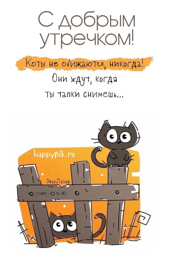 доброе утро вам всем 🌞🌞🌞 доброе утро вам всем 🌞🌞🌞
