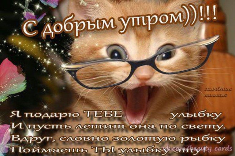 С добрым утром С добрым утром