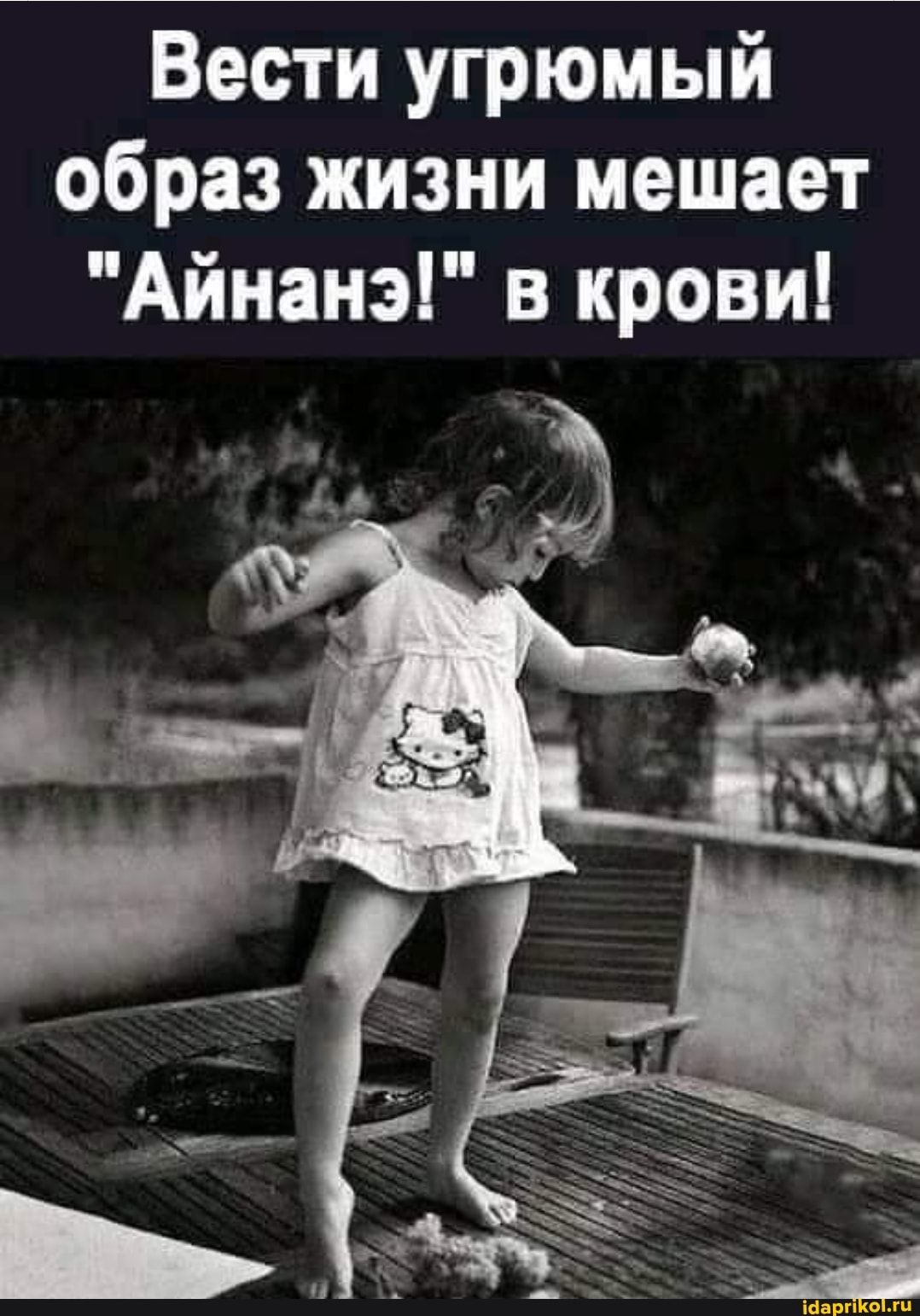Вести угрюмый образ жизни мешает “Айнанэ!” в крови! – АйДаПрикол Вести угрюмый образ жизни мешает “Айнанэ!” в крови! – АйДаПрикол