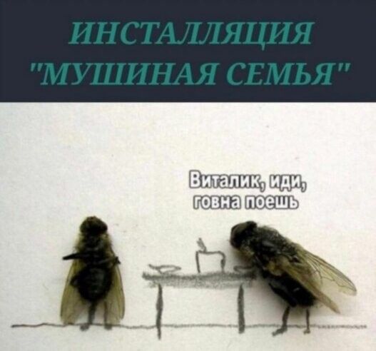 юмор, смешные картинки юмор, смешные картинки