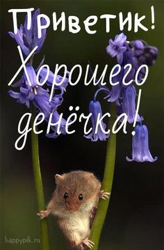 Необычные картинки С добрым утром 💌✨☕ Необычные картинки С добрым утром 💌✨☕
