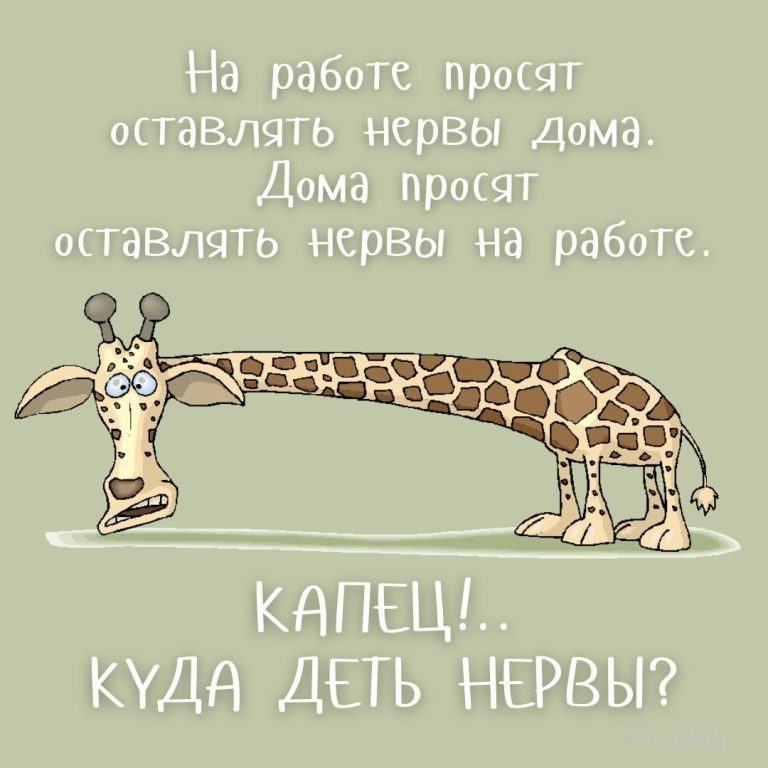 20+ оригинальных веселых картинок ПРО НЕРВЫ с юмором 20+ оригинальных веселых картинок ПРО НЕРВЫ с юмором