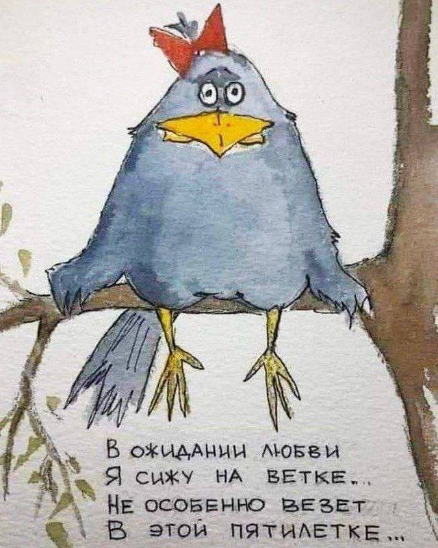 Коллекция смешных картинок в Телеграм Коллекция смешных картинок в Телеграм