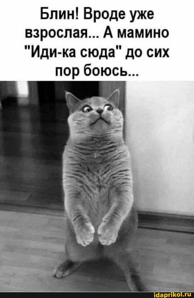 Блин! Вроде уже взрослая… А мамино “Иди-ка сюда” до сих пор боюсь… – АйДаПрикол Блин! Вроде уже взрослая… А мамино “Иди-ка сюда” до сих пор боюсь… – АйДаПрикол