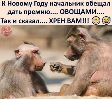 Смехотерапия Смехотерапия