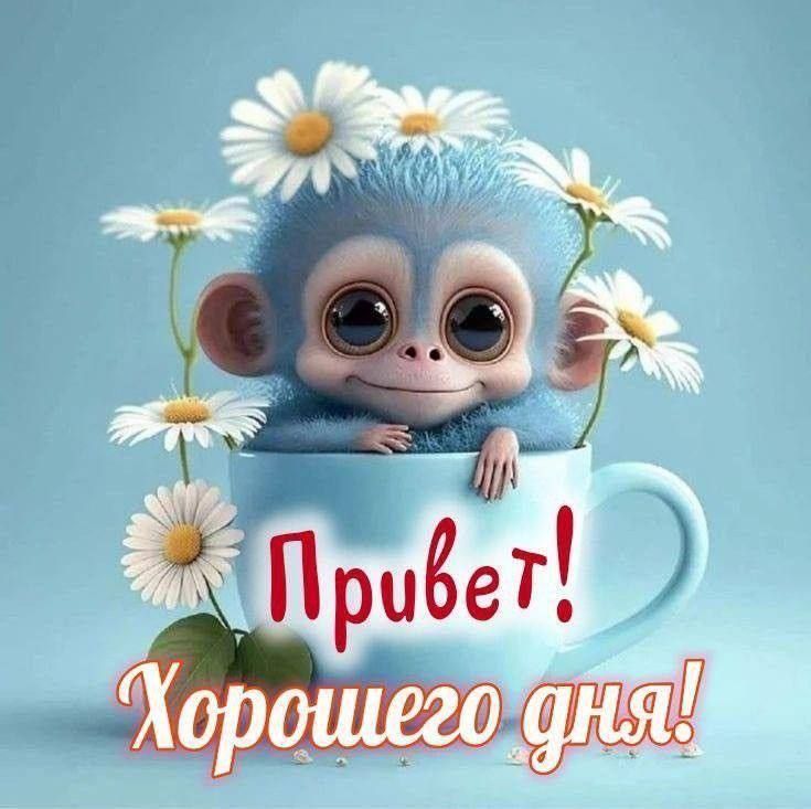 хорошего дня 😌😌😌 хорошего дня 😌😌😌
