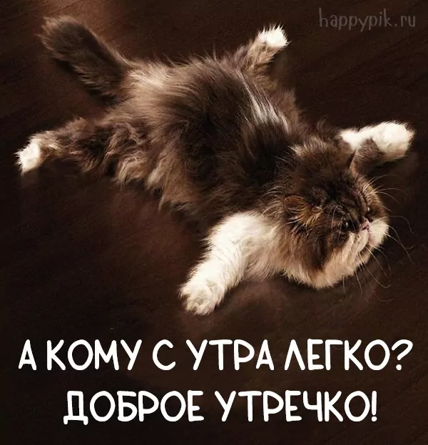 Позитивные картинки Доброе утро 😄 👇 – скачать Позитивные картинки Доброе утро 😄 👇 – скачать