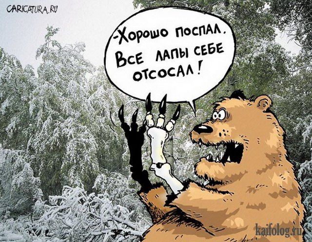 Картинки и карикатуры про медведей (60 картинок) Картинки и карикатуры про медведей (60 картинок)