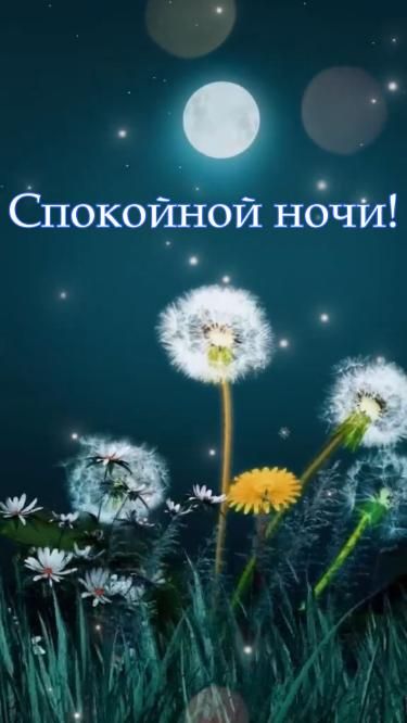 Спокойной ночи, друзья! Спокойной ночи, друзья!