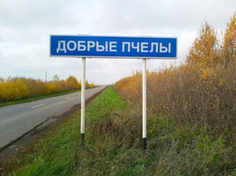 с. Добрые Пчёлы (Рязанская обл.) с. Добрые Пчёлы (Рязанская обл.)