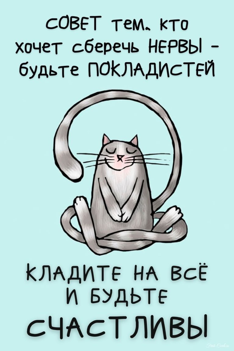77 смешных открыток и прикольных картинок с юмором 77 смешных открыток и прикольных картинок с юмором