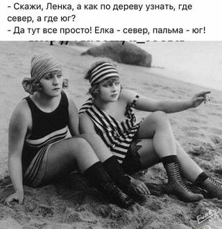 – Скажи, Ленка, а как по дереву узнать, где север, а где юг? – Да тут все просто! Елка – север, пальма – юг! – АйДаПрикол – Скажи, Ленка, а как по дереву узнать, где север, а где юг? – Да тут все просто! Елка – север, пальма – юг! – АйДаПрикол
