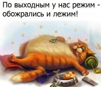 Открытка По выходным у нас режим- обожрались и лежим! Открытка По выходным у нас режим- обожрались и лежим!