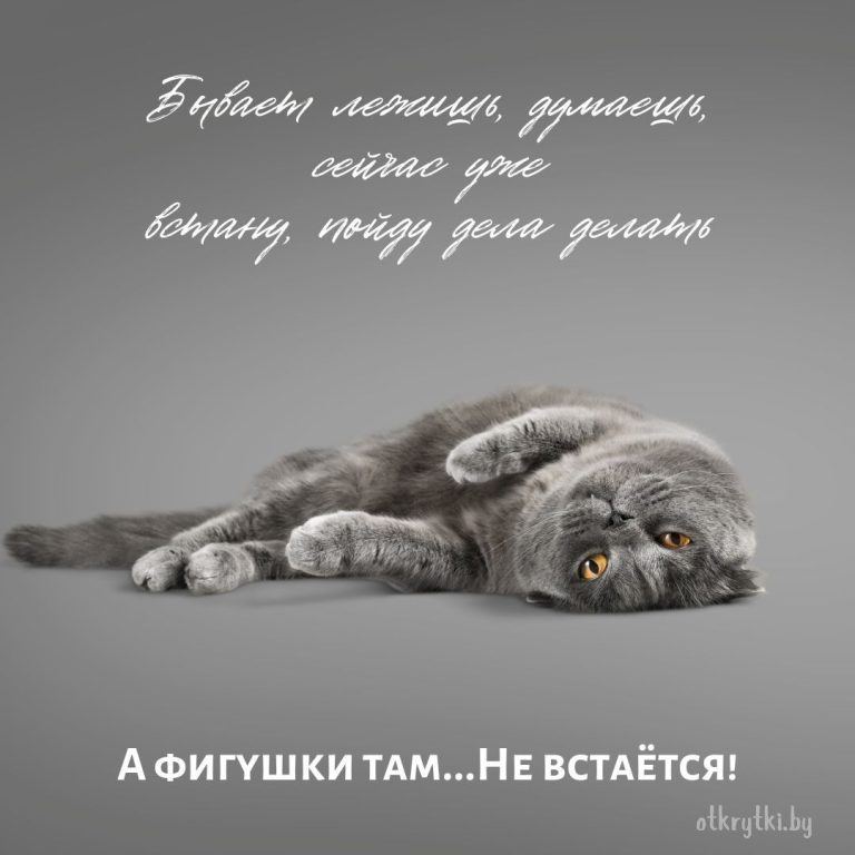 Коллекция забавных картинок про УСТАЛОСТЬ с юмором и смыслом Коллекция забавных картинок про УСТАЛОСТЬ с юмором и смыслом