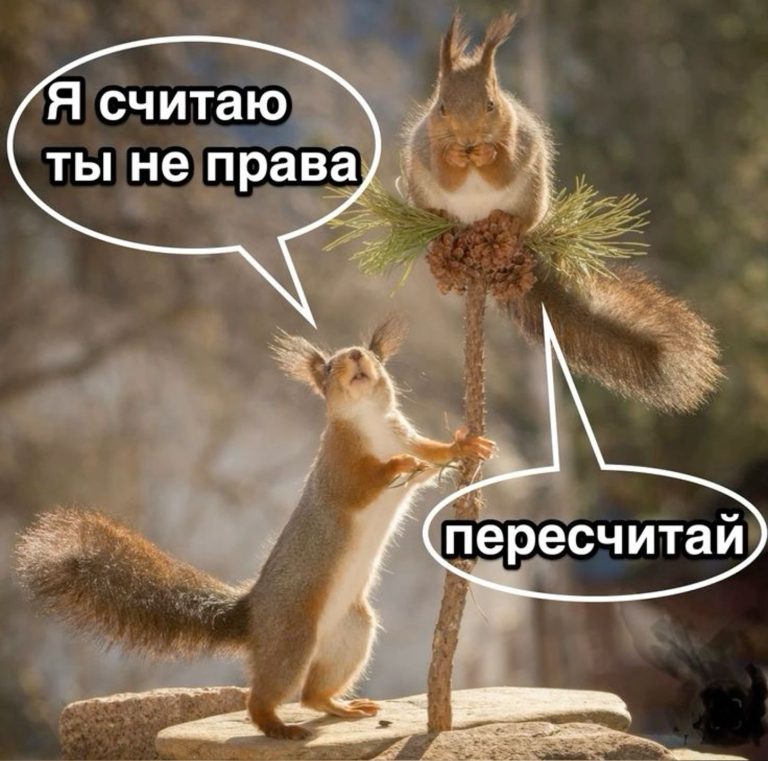Я считаю ты не права… Пересчитай… Я считаю ты не права… Пересчитай…