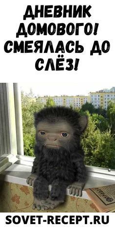 Дневник Домового! Смеялась До Слёз! – Женский Дневник Домового! Смеялась До Слёз! – Женский