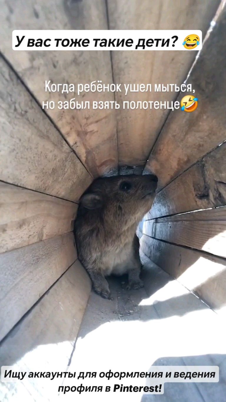У вас тоже такие дети? 😂 У вас тоже такие дети? 😂