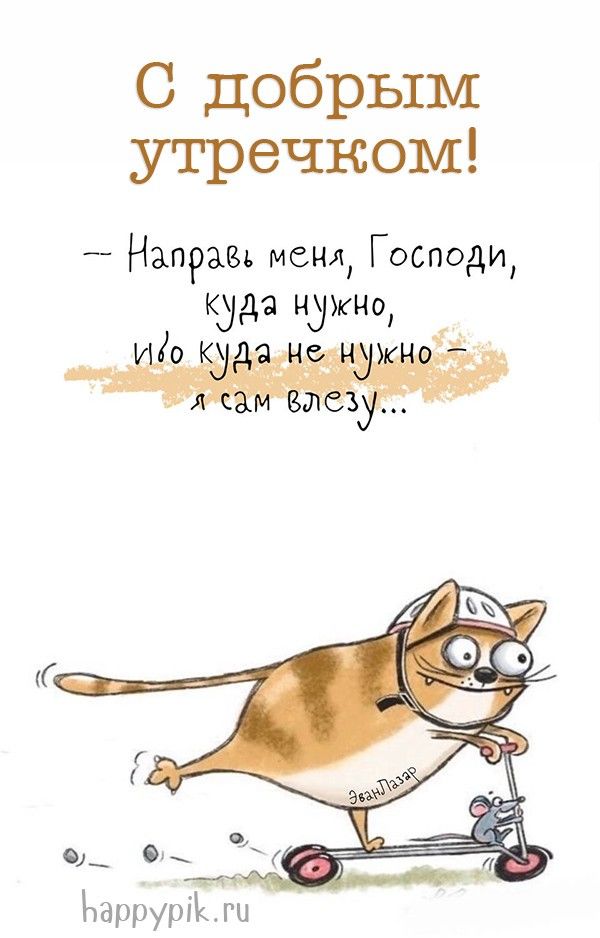 Прикольные картинки Доброе утро 👍 😄 – скачать Прикольные картинки Доброе утро 👍 😄 – скачать