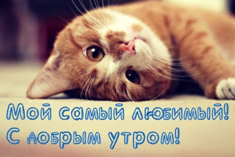 Доброе утро любимый — картинки для мужчины | Zamanilka Доброе утро любимый — картинки для мужчины | Zamanilka