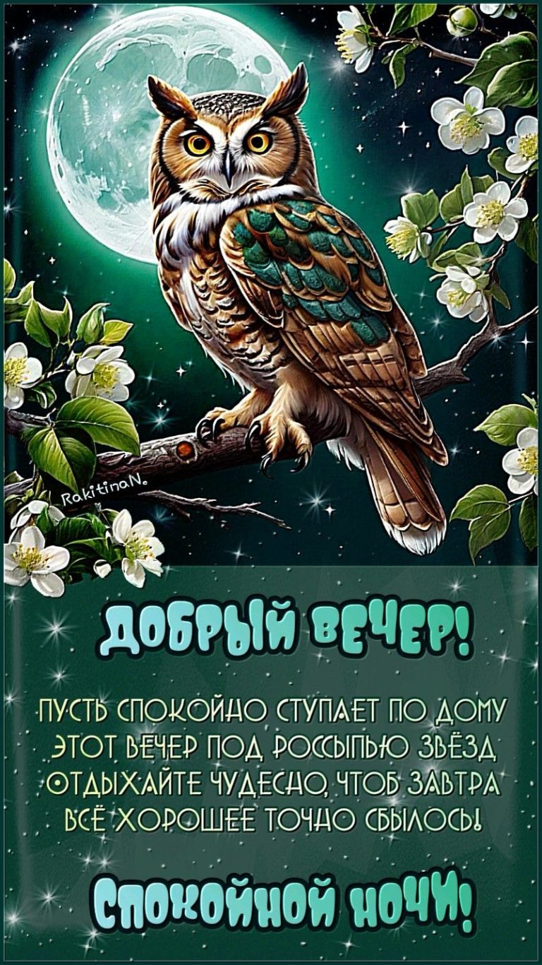 Добрый вечер и спокойной ночи! Добрый вечер и спокойной ночи!