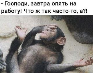 – Господи, завтра опять на работу! Что ж так часто-то, а?! – АйДаПрикол – Господи, завтра опять на работу! Что ж так часто-то, а?! – АйДаПрикол