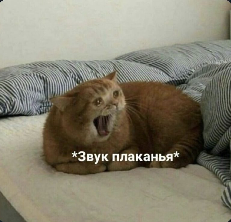 *звуки плаканья* *звуки плаканья*
