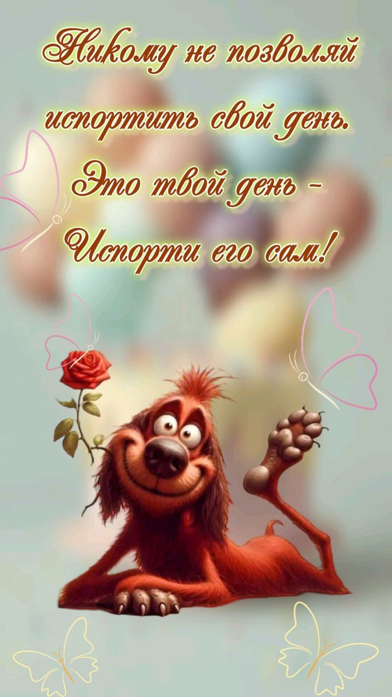 Никому не позволяй испортить твой день! Никому не позволяй испортить твой день!