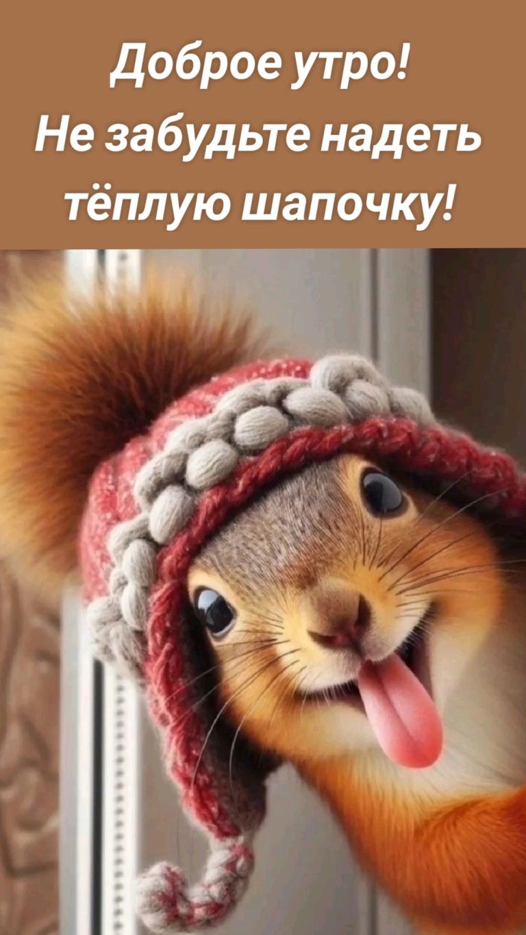 Доброе утро! Не забудьте надеть тёплую шапочку! Доброе утро! Не забудьте надеть тёплую шапочку!