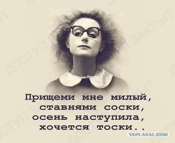 Баянисто-небаянистый юмор. 22.09.20 – ЯПлакалъ Баянисто-небаянистый юмор. 22.09.20 – ЯПлакалъ