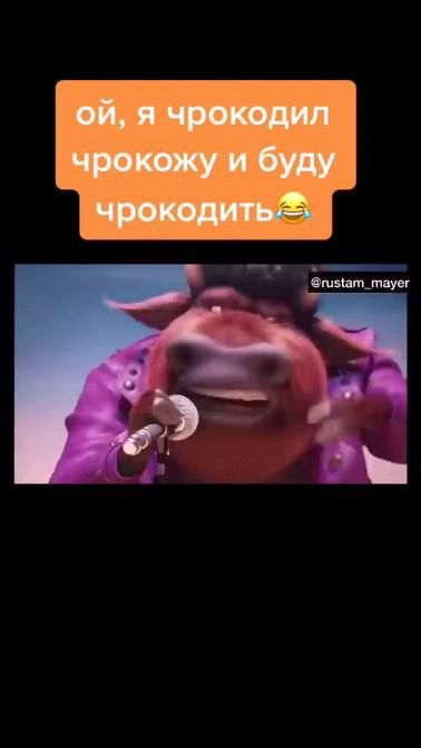 ✌️✌️✌️✌️🤣