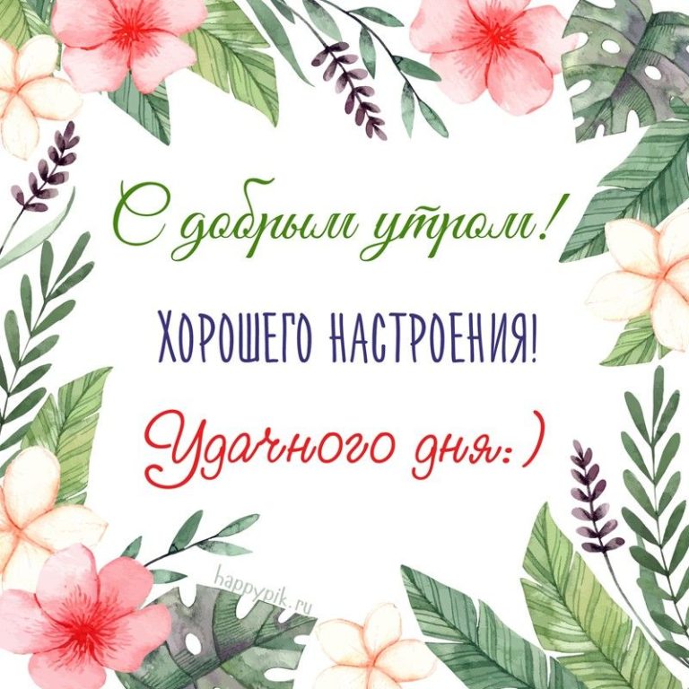 Красивые картинки “Доброго дня и прекрасного настроения!” (40 открыток) Красивые картинки “Доброго дня и прекрасного настроения!” (40 открыток)