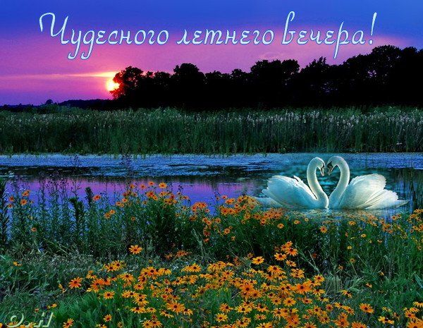 Открытки с пожеланиями на вечер Открытки с пожеланиями на вечер