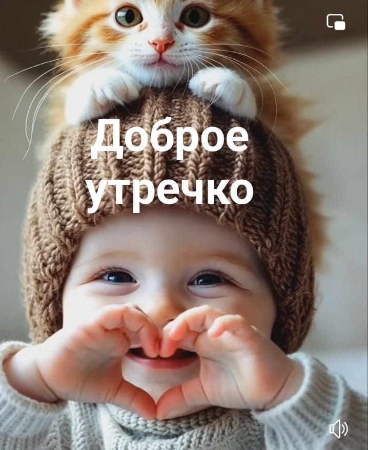 Солнышко моё, доброе утро❤️! Солнышко моё, доброе утро❤️!