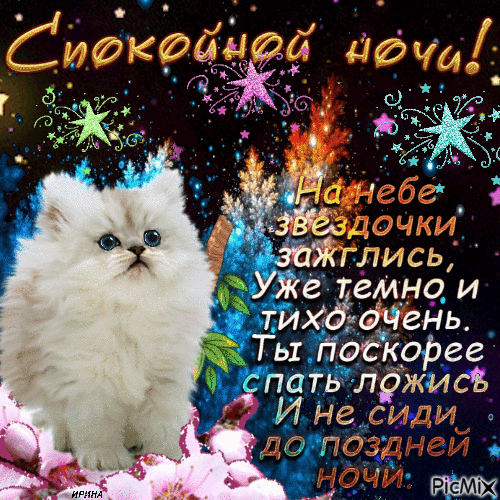 Спокойной ночи ! Спокойной ночи !