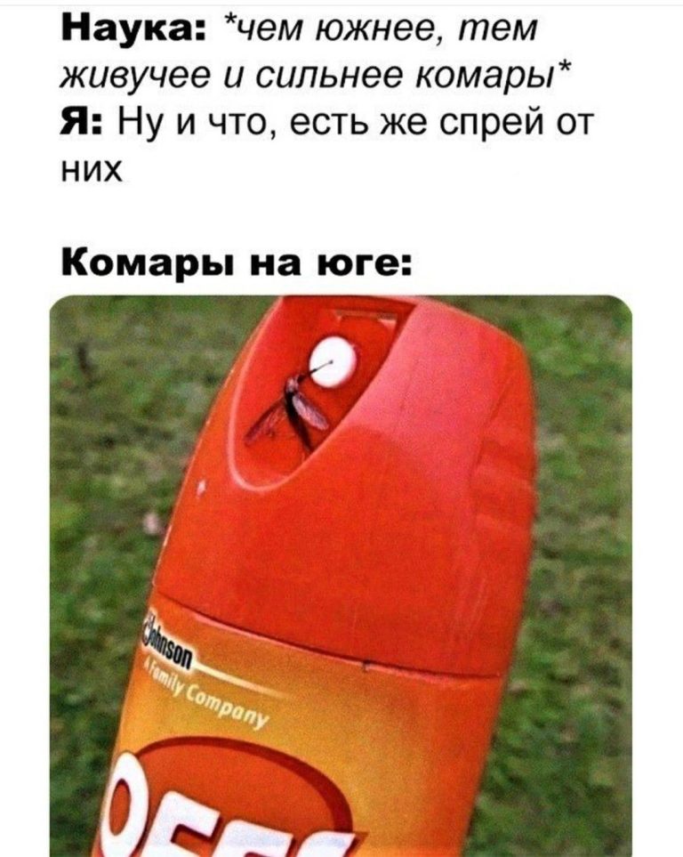 Комары на юге Комары на юге