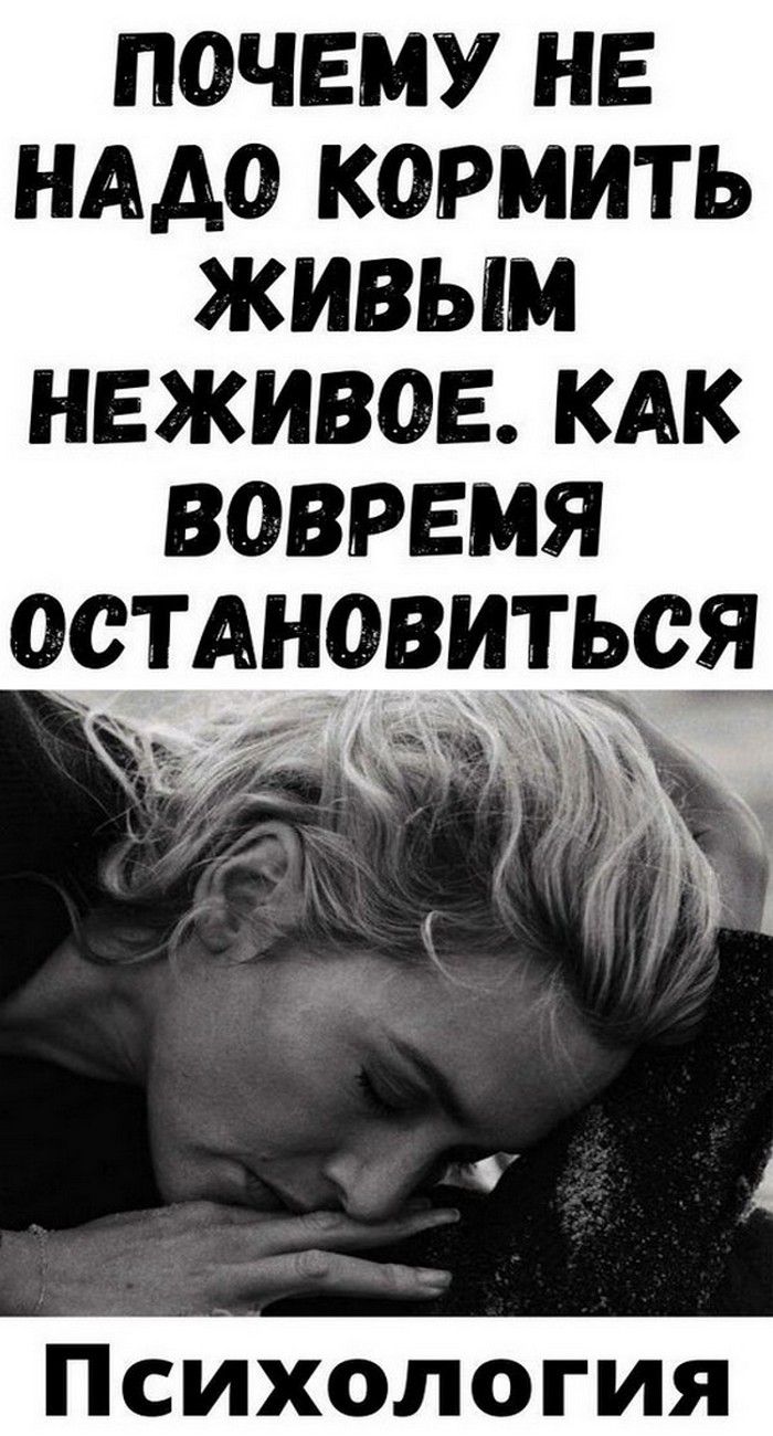 Почему не надо кормить живым неживое. Как вовремя остановиться | Интересное Самое Почему не надо кормить живым неживое. Как вовремя остановиться | Интересное Самое