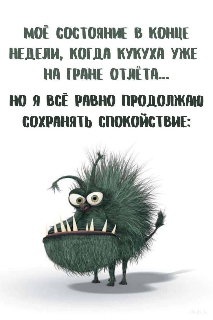 #конецнедели #конецнедели