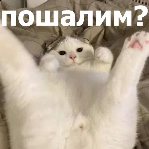Набор стикеров для Telegram «Забавные животные 4» Набор стикеров для Telegram «Забавные животные 4»
