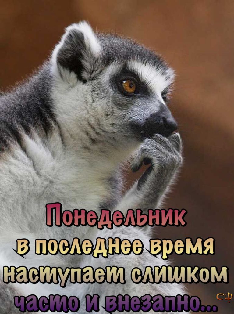 Опять понедельник) Опять понедельник)