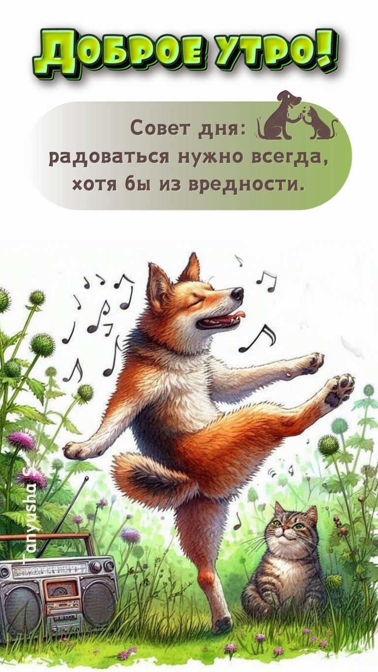 ДОБРОЕ УТРО!☀️ ДОБРОЕ УТРО!☀️