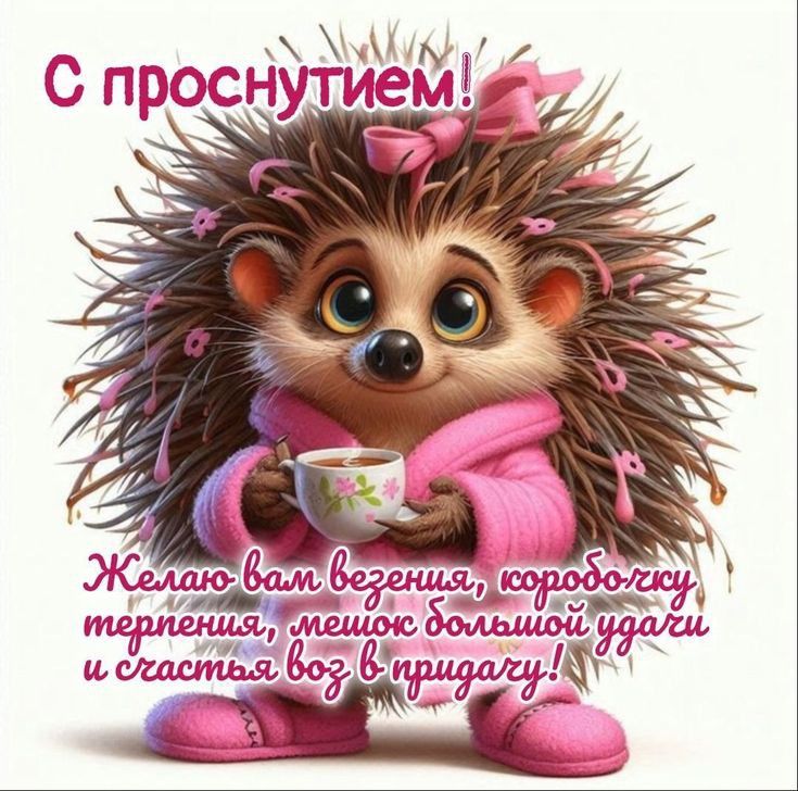 хорошего дня 😌😌😌😌