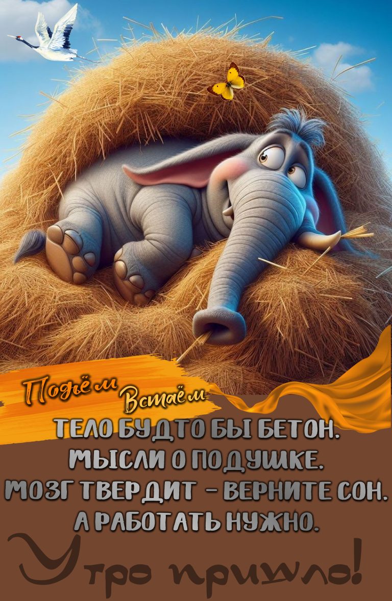 Утро пришло🌞 Утро пришло🌞