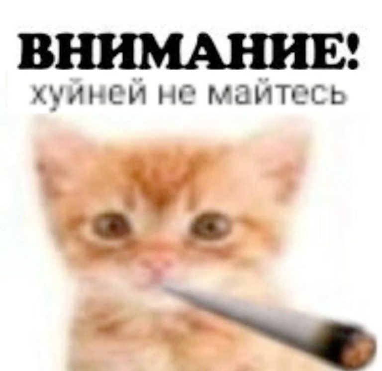 tt: roflomila vk: m2d tt: roflomila vk: m2d