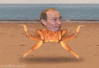22 Putin Memes That Are Now Illegal In Russia 22 Putin Memes That Are Now Illegal In Russia