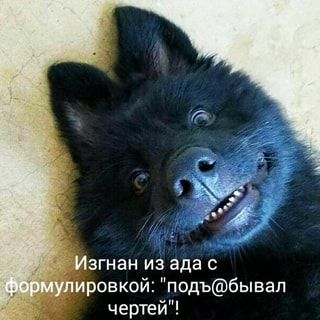 ΠΠ·Π³Π½Π°Π½ ΠΈΠ· Π°Π΄Π° Ρ ΠΏΠΈΡΠΎΠ²ΠΊΠΎΠΉ: “ΠΏΠΎΠ΄Ρ@Π±ΡΠ²Π°Π» ΡΠ΅ΡΡΠ΅ΠΉ”! – ΠΠΉΠΠ°ΠΡΠΈΠΊΠΎΠ» ΠΠ·Π³Π½Π°Π½ ΠΈΠ· Π°Π΄Π° Ρ ΠΏΠΈΡΠΎΠ²ΠΊΠΎΠΉ: “ΠΏΠΎΠ΄Ρ@Π±ΡΠ²Π°Π» ΡΠ΅ΡΡΠ΅ΠΉ”! – ΠΠΉΠΠ°ΠΡΠΈΠΊΠΎΠ»