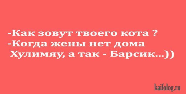 Смешные анекдоты (40 картинок) Смешные анекдоты (40 картинок)