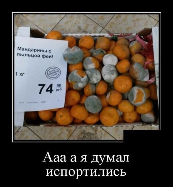 картинки смешные876 картинки смешные876